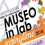 Museo in lab, Springtime 2018