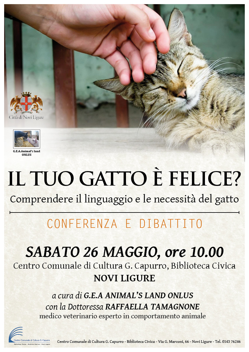 "Il tuo gatto è felice?"