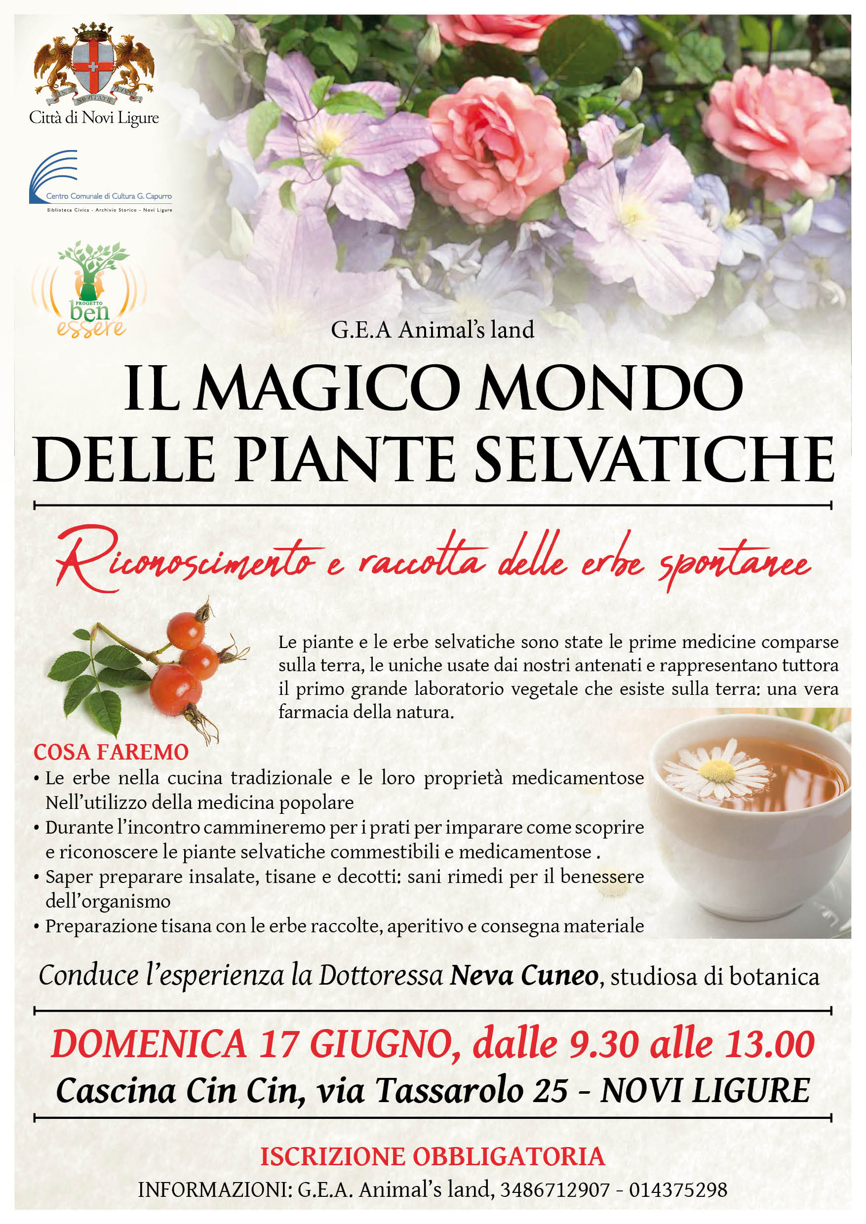 Il magico mondo delle piante selvatiche 